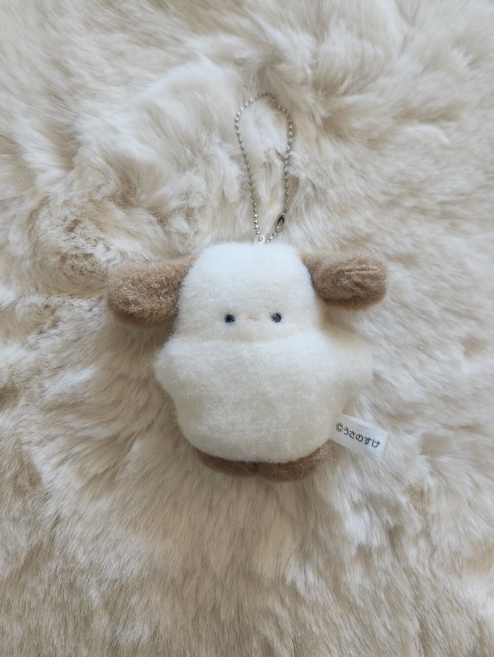 Cream with brown ears fluffy puppy plushy keychain I got from Japan